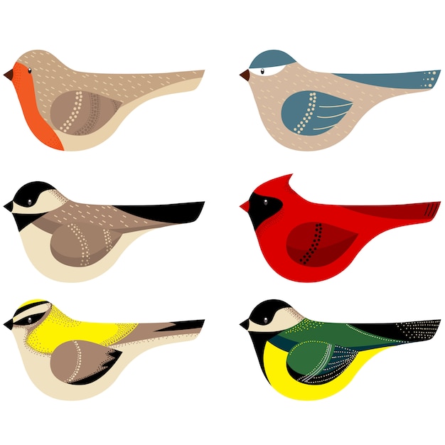 Vector collection of colorful decorated birds