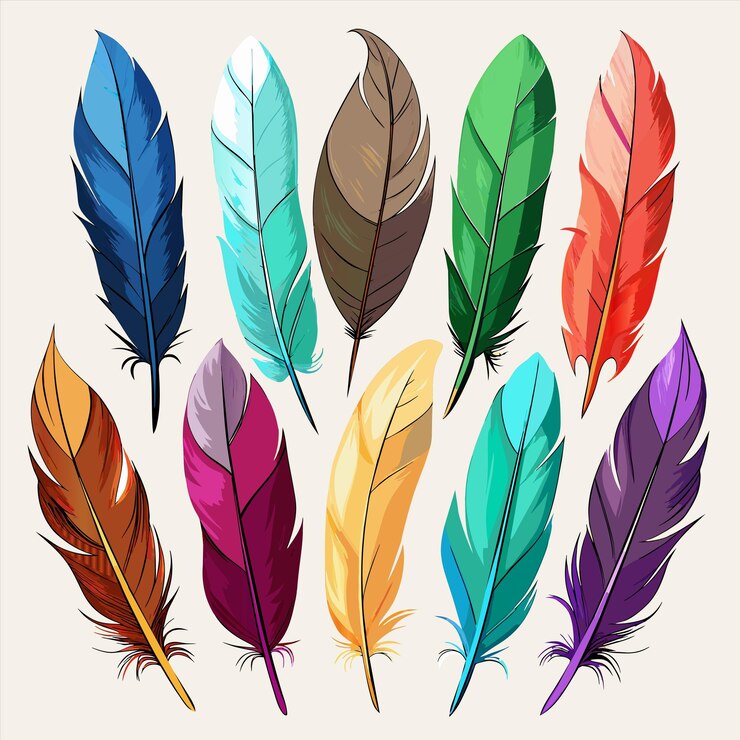 Vector a collection of colorful feathers with different colors