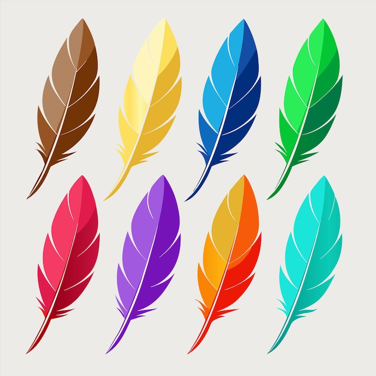 Vector a collection of colorful feathers with a picture of them that says quot colorful quot