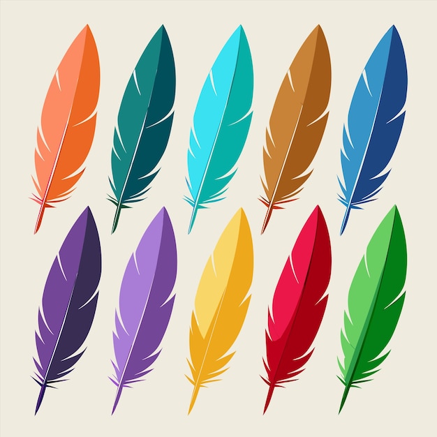 a collection of colorful feathers with a picture of them that says peacock feathers