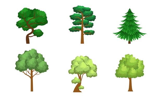 Vector collection of coniferous and deciduous trees summer landscape design elements vector illustration