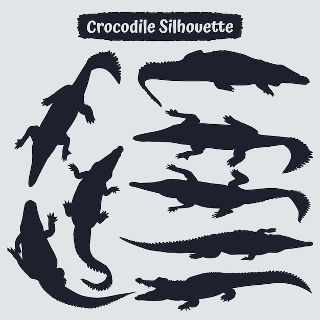 Collezione di silhouette di coccodrillo in diverse pose