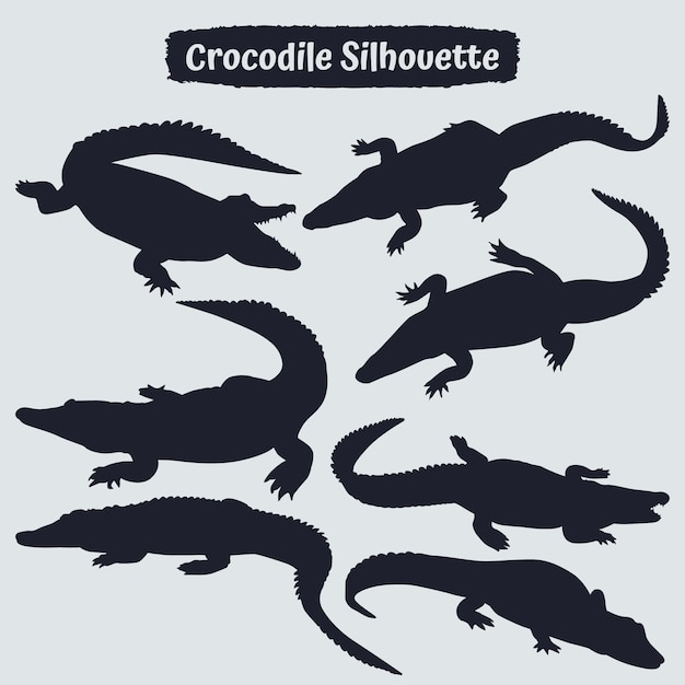 Collezione di silhouette di coccodrillo in diverse pose