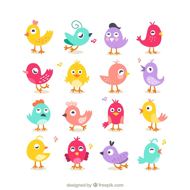 Collection of cute birds