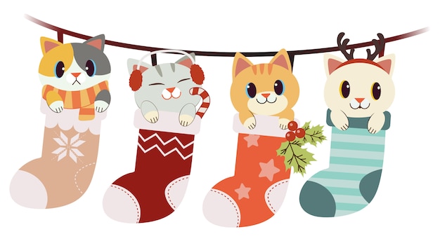 The collection of cute cat in big sock set in the christmas and winter theme