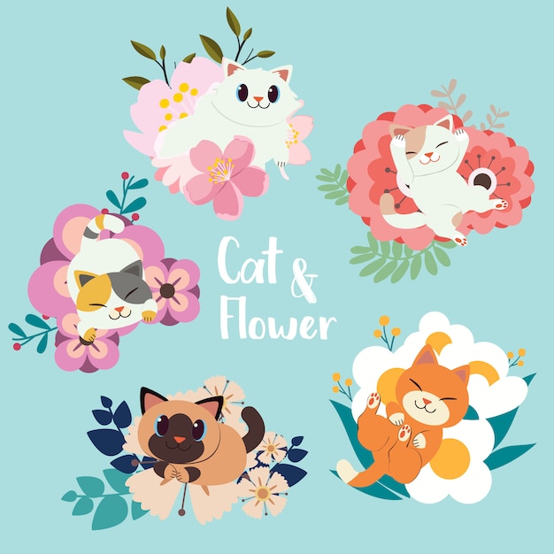 The collection of cute cat with flower set.