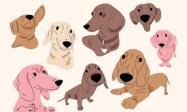 Vettore collezione di simpatici cani bassotto in stile cartone animato vettore piatto