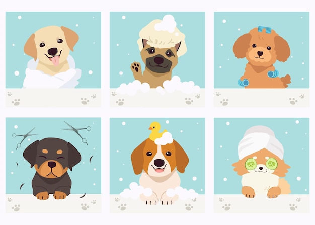 The collection of cute dog with spa and salon theme in flat vector style Graphic resource about pet