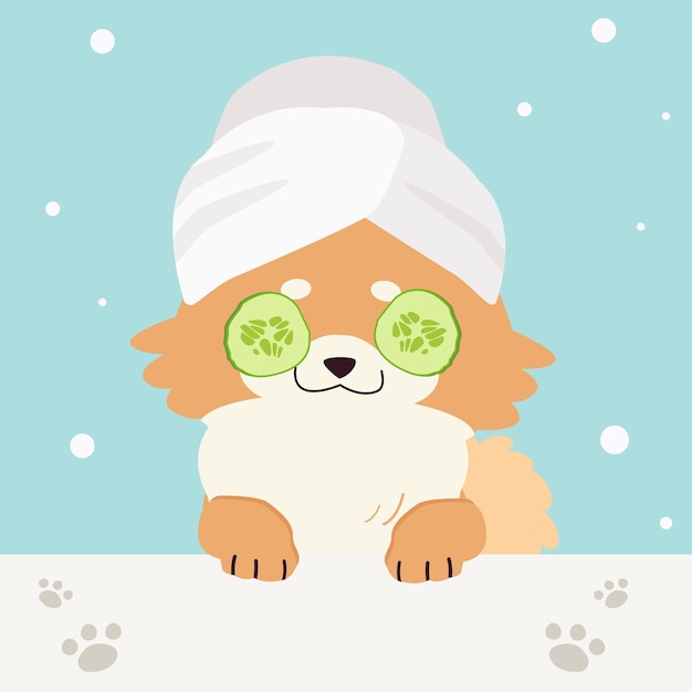 Vector the collection of cute dog with spa and salon theme in flat vector style