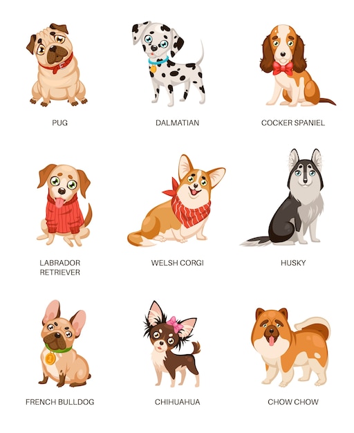 Vector collection of cute dogs isolated on white