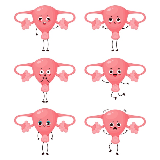 Collection cute female cartoon uterus Human reproductive organ character with different emotions