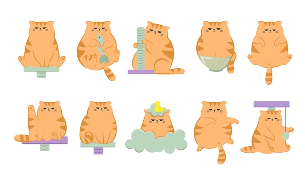 The collection of cute funny grumpy ginger cat Cats sitting sleeping and playing with cats house Cute funny cartoon cat character in different poses