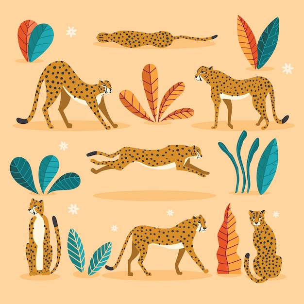 Vettore collezione di simpatici ghepardi disegnati a mano su sfondo rosa, in piedi, allungando, correndo e camminando con piante esotiche. illustrazione piatta