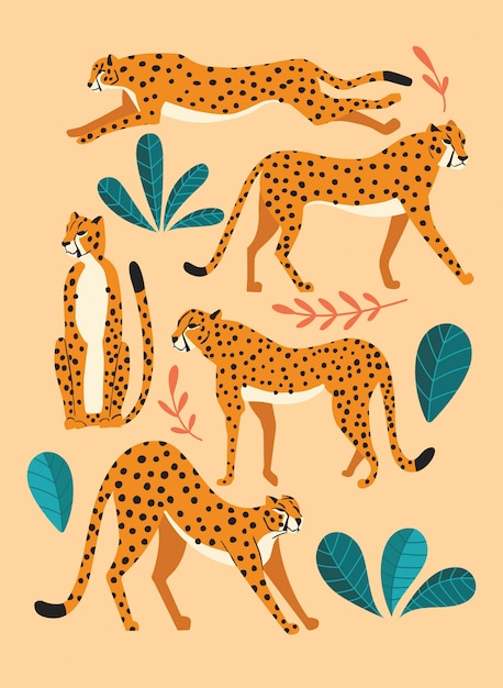 Collection of cute hand drawn cheetahs, standing, stretching, running and walking with exotic plants. Flat illustration