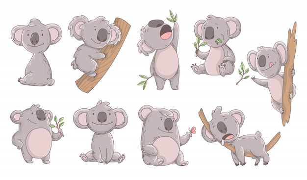 Collection cute koala in different poses.