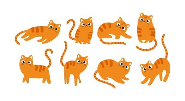 collection of cute orange cats