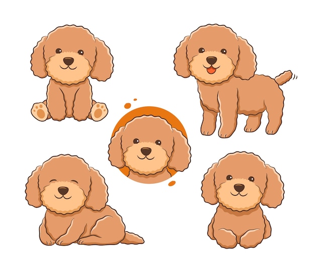 The collection of cute poodle illustration in many poses