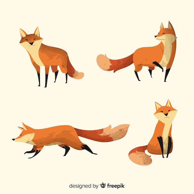 Vector collection of cute watercolor foxes