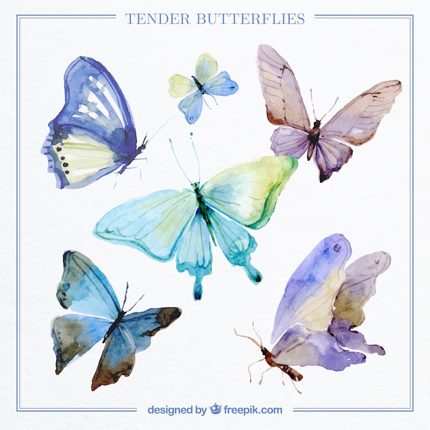 Vector collection of decorative butterflies watercolor