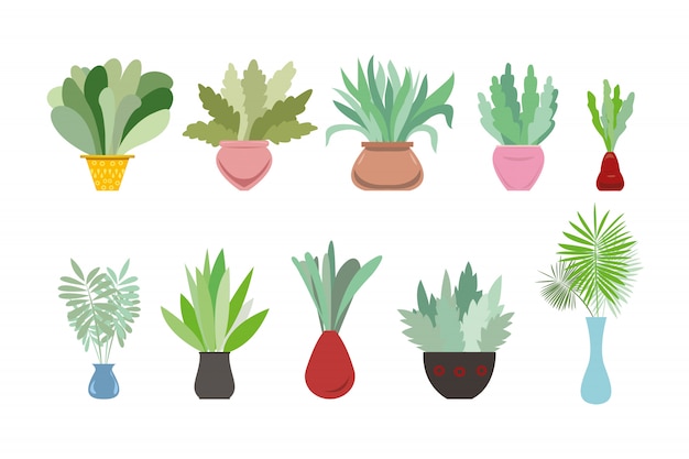 Collection of decorative houseplants  on white background. bundle of trendy plants growing in pots or planters.set of beautiful natural home decorations.  colorful  illustration.