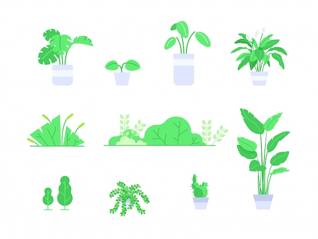 Collection of decorative plants in flat illustration style