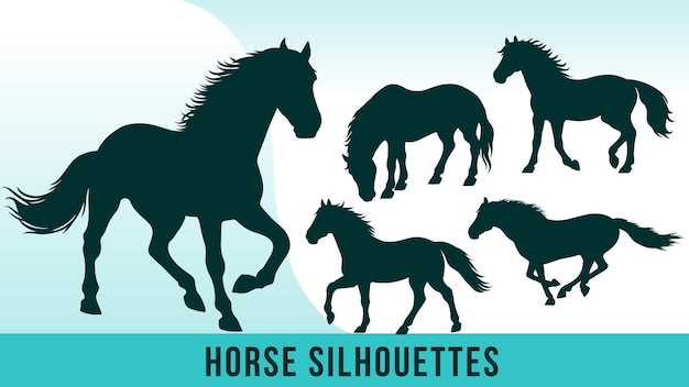 Collection of Detailed Horse Silhouette Vectors