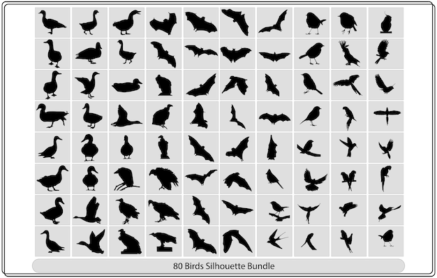 Collection of different birds silhouettes position