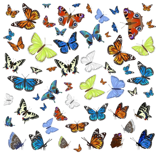 A collection of different butterflies flying and seated.