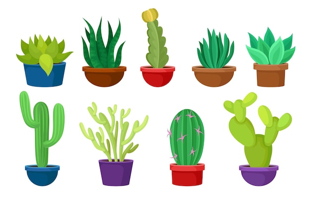 Collection of different cacti in colorful ceramic pots Succulent plants Nature elements for home interior Decorative houseplants Vector illustrations in flat style isolated on white background