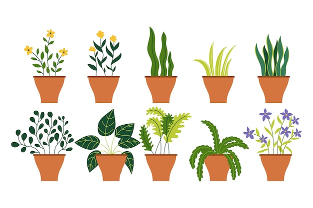 Vector collection of different decoration house indoor garden potted plants