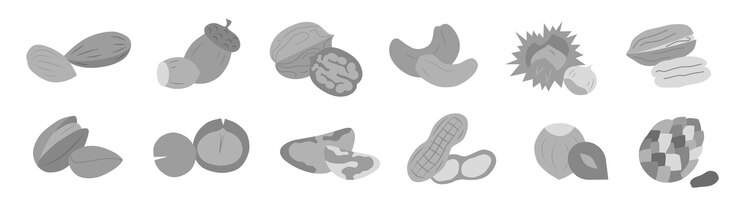 Vector a collection of different nuts in gray concept of healthy eating various nuts