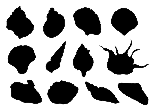 A collection of different silhouettes of seashells isolated on a white background black silhouette