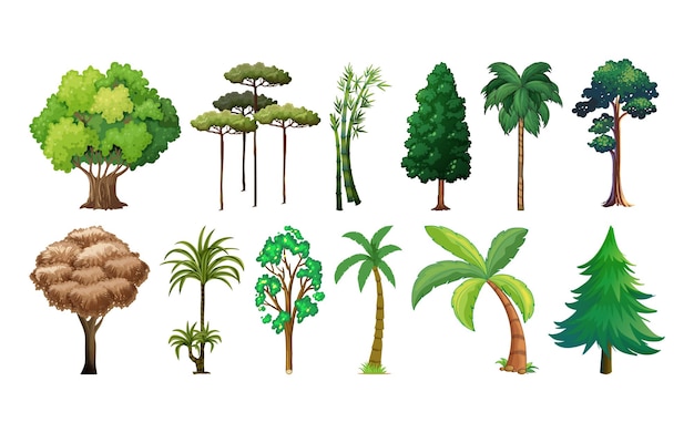 白い背景に隔離された様々な木や植物の集まり