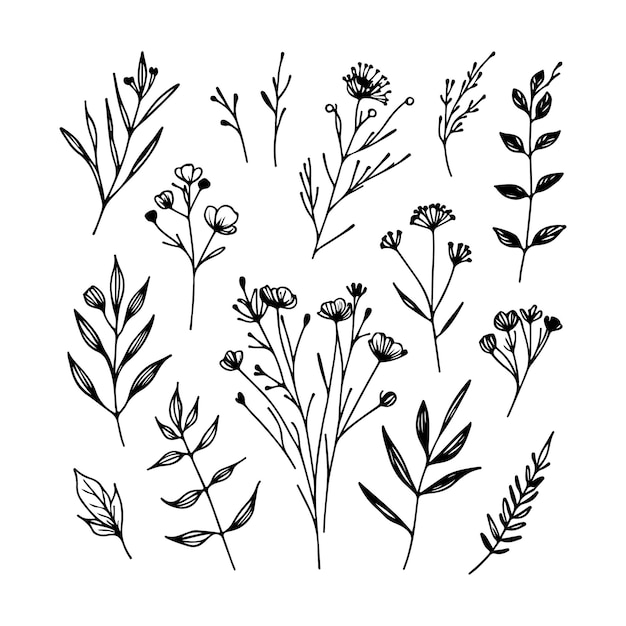 野生という言葉が書かれた植物を含む様々な種類の植物のコレクション