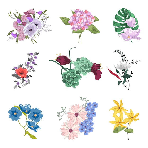 Vector collection of diverse floral bouquets