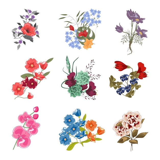 collection of diverse floral bouquets