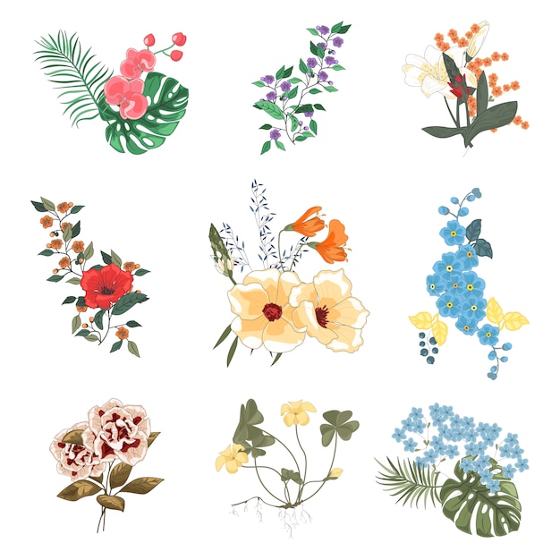 Collection of diverse floral bouquets