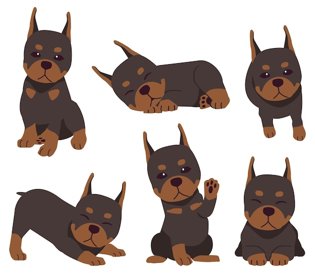 The collection of Doberman in many actions Graphic resource about Pitbull for graphic content etc