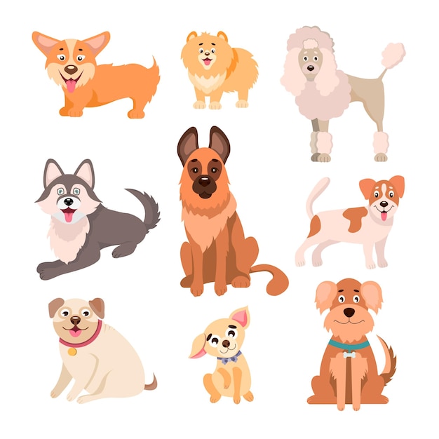 Collection of dogs of different breeds