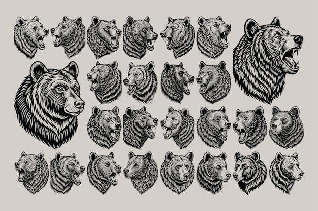 Vettore una collezione di disegni di orsi e leoni