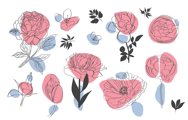 Collection of drawings of flowers with linear art on a white background Vector hand illustration