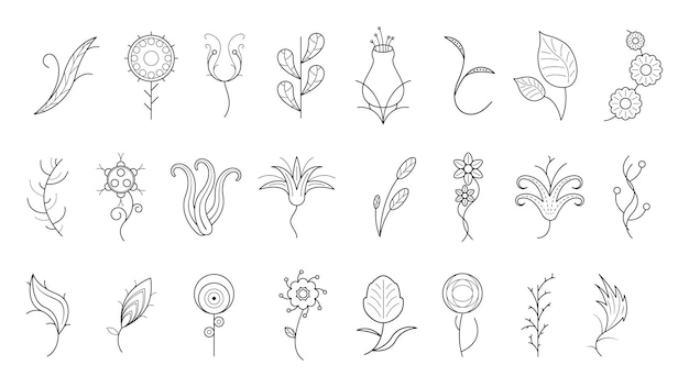 A collection of drawings including flowers and leaves.