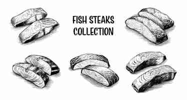 Vector collection of drawn fish steaks like tuna salmon tilapia halibut