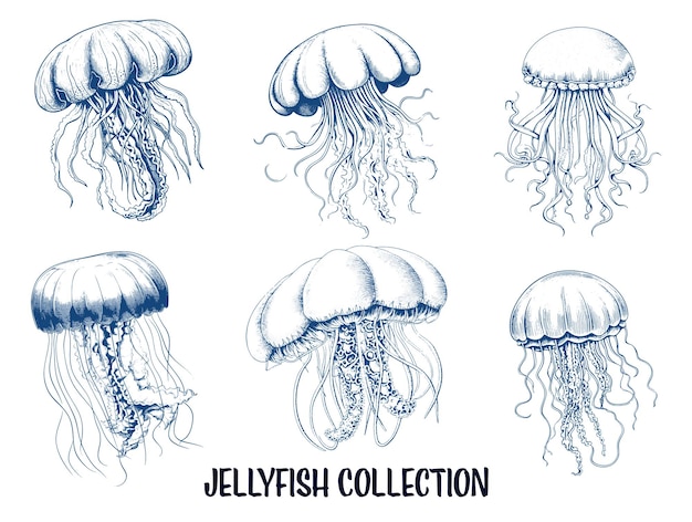 Vector collection of drawn jellyfish