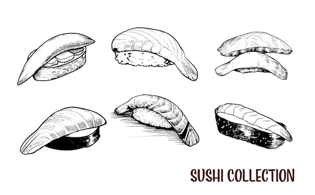 Vector collection of drawn sushi