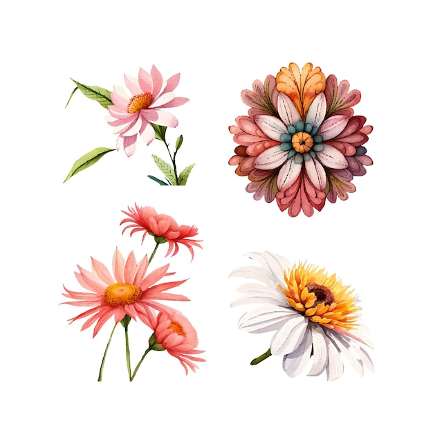 Collection of drawn watercolor flowers