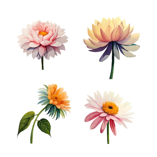 Collection of drawn watercolor flowers