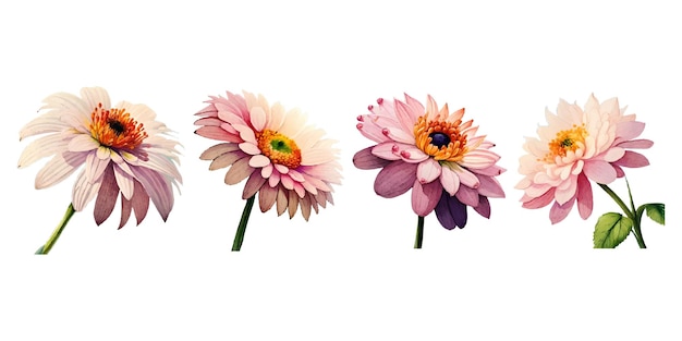 Collection of drawn watercolor flowers