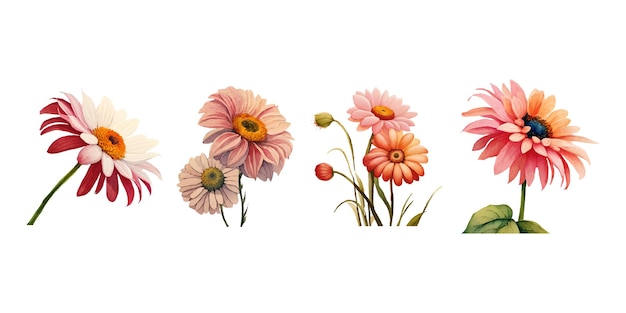 Collection of drawn watercolor flowers