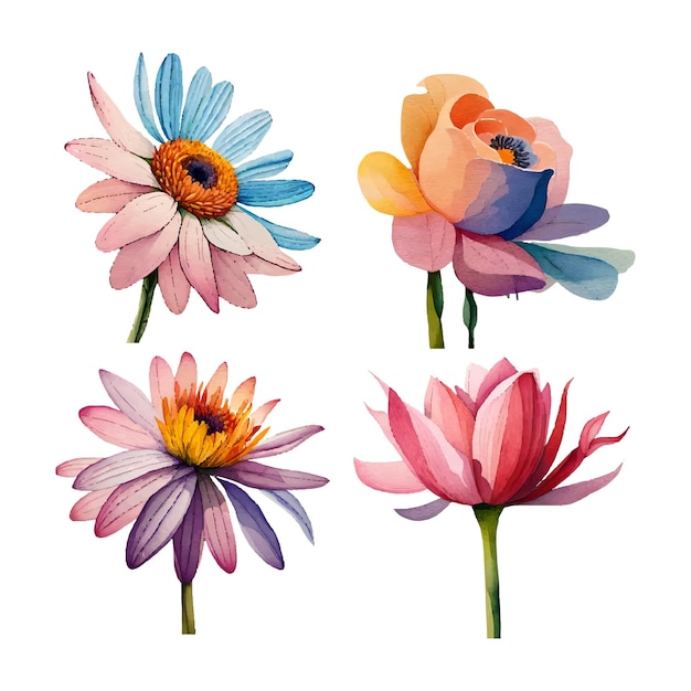 Collection of drawn watercolor flowers